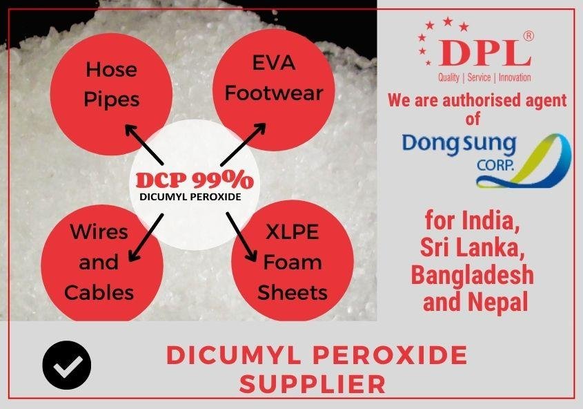 DCP Dicumyl Peroxide Supplier